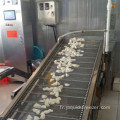 Congélateur rapide Tunnel Automatique pour Dumplings